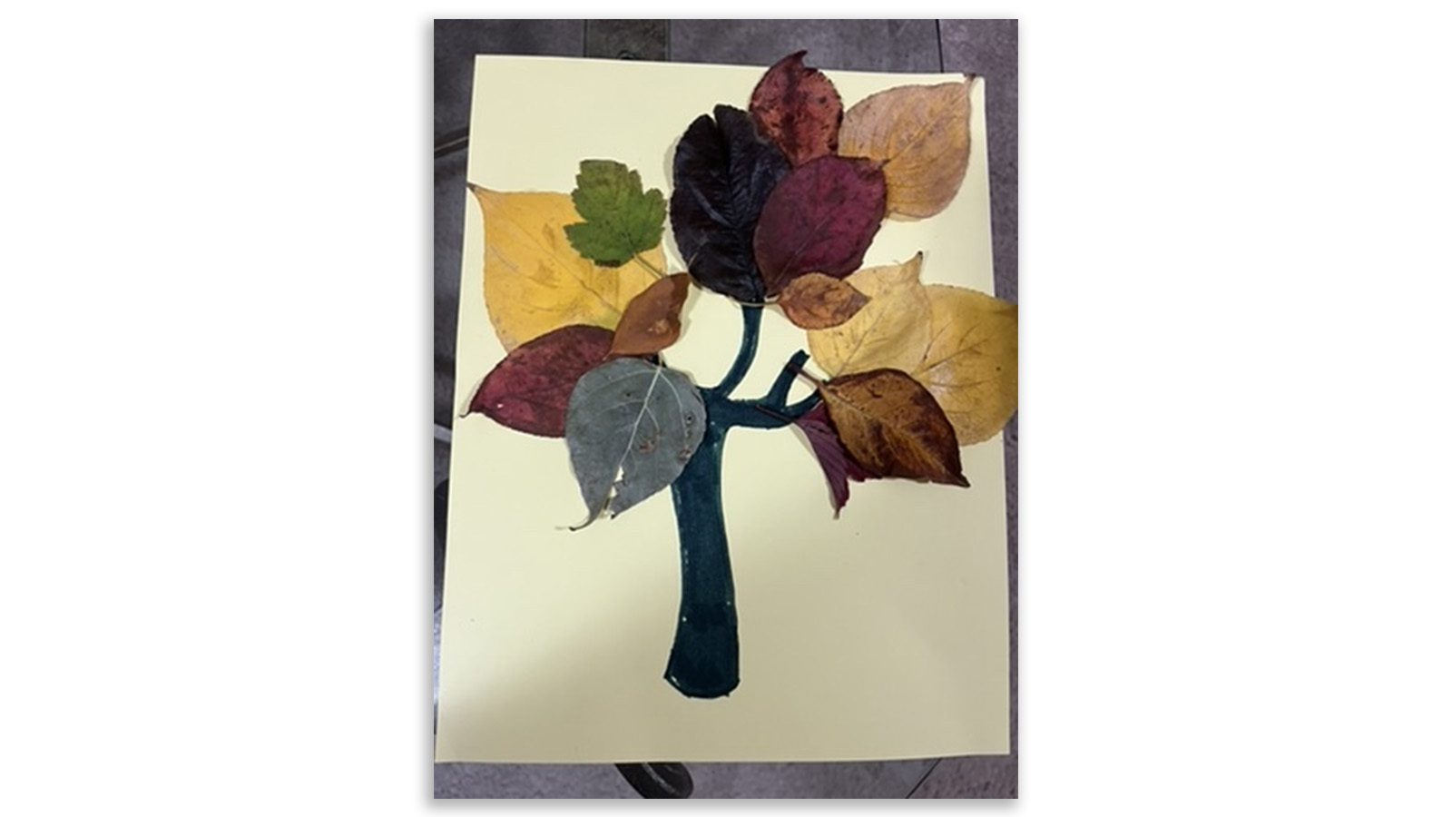 OT-SLP_Learning in the Leaves